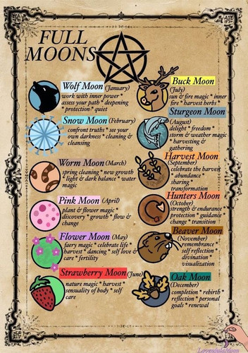 E370CD21 3F96 41A8 AC92 502F5D9EE033.jpg