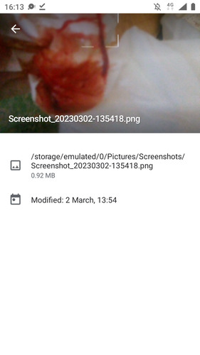 Screenshot 20230312 161340.png