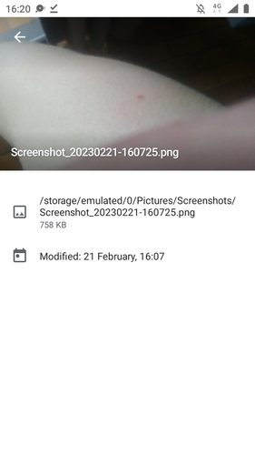 Screenshot 20230312 162053.png