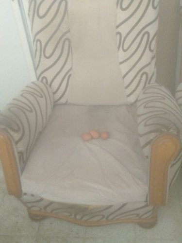 1678624411153.jpg