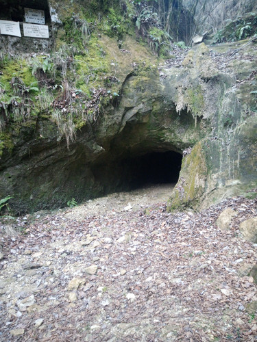 monfumo lignite.jpg