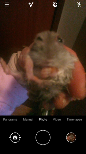 Screenshot 20230312 175554.png