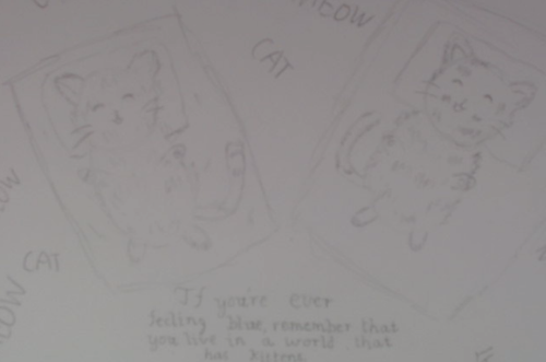CATCATCATCAT.png