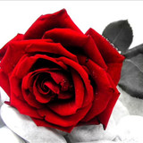 717FA619 3414 44FE 8E52 12ED5BC5578D