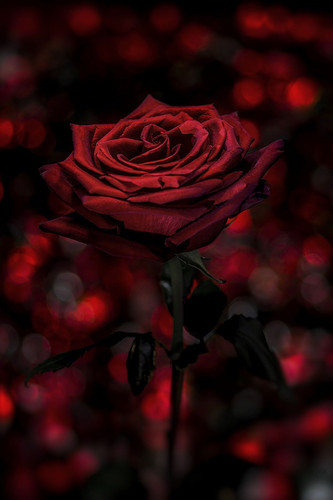 EE785CC3 9A21 4EED 8559 2087BCA8A91F.jpg