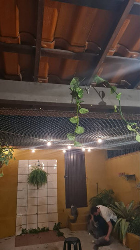 br 11134103 22120 pwy73o25ydlv24.jpg