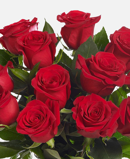 362189D5 0CF8 4C23 B981 CB62900B442A.jpg