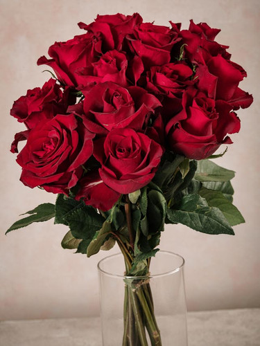 797604B5 3C01 44F8 A189 837EF8F4BB20.jpg