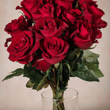 797604B5 3C01 44F8 A189 837EF8F4BB20