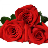 9FFDF9B6 63A7 4907 BD28 22473B047185