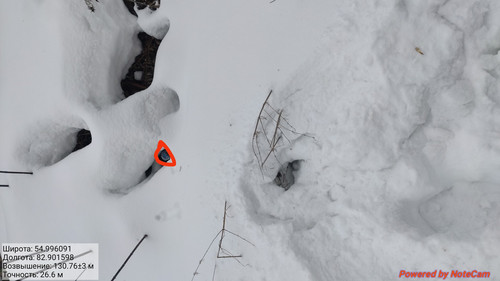 IMG 20230308 215738.jpg