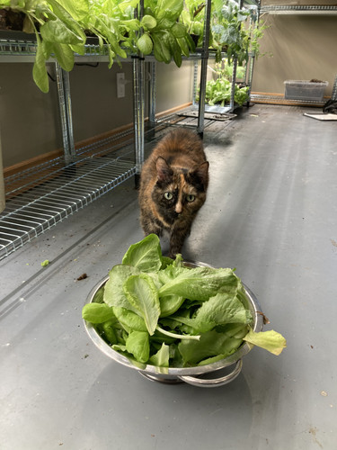 FE654200 8579 4EBD BAF9 326EE53D7AF9