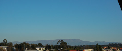 DSC053194.jpg