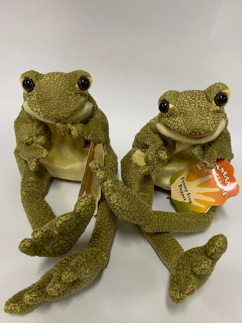 funny frog.jpg