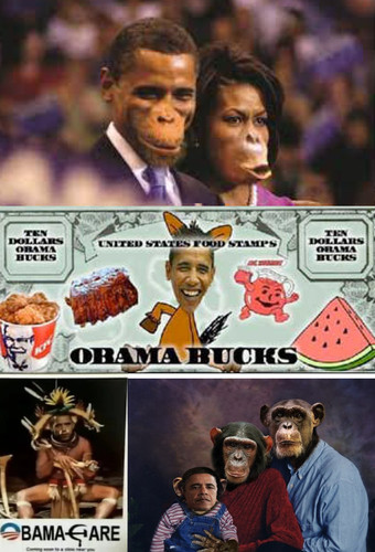 Obama racism.jpg