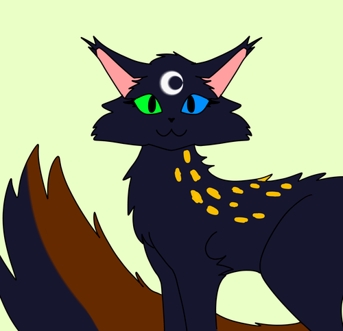 Untitled153 (1).png