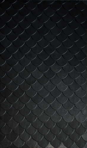marque fishscale6 06 em1 h arcit18.jpg