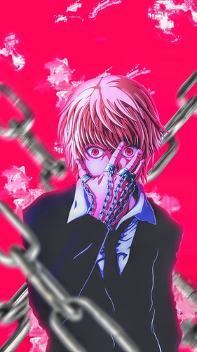 224 2241728 anime hunter x hunter and wallpaper image hunter.jpg