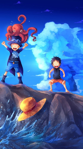 471889 Anime One Piece Phone Wallpaper.jpg