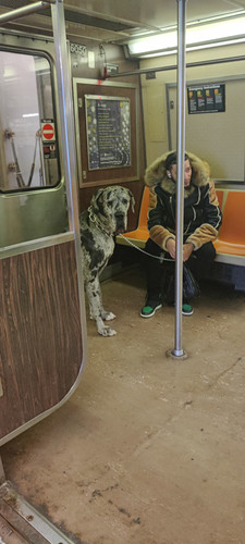 1678523159045.jpg