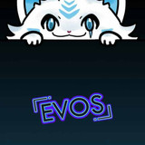Evos 4