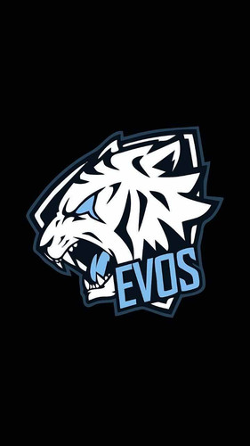 Evos 6.jpg