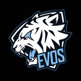 Evos 6