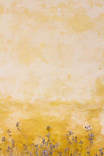 mona eendra vC8wj Kphak unsplash.jpg