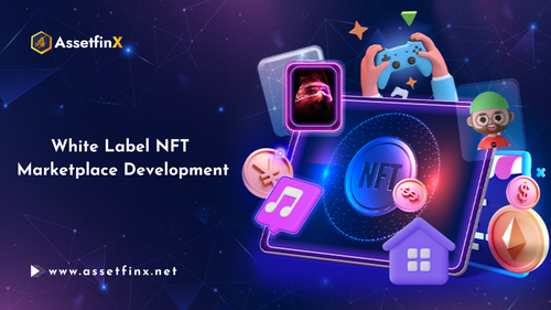 White Label NFT Marketplace Development.png
