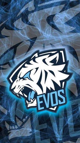 Evos 12.jpg