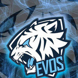 Evos 12