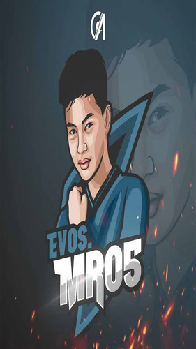 Evos 24.jpg