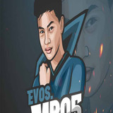 Evos 24