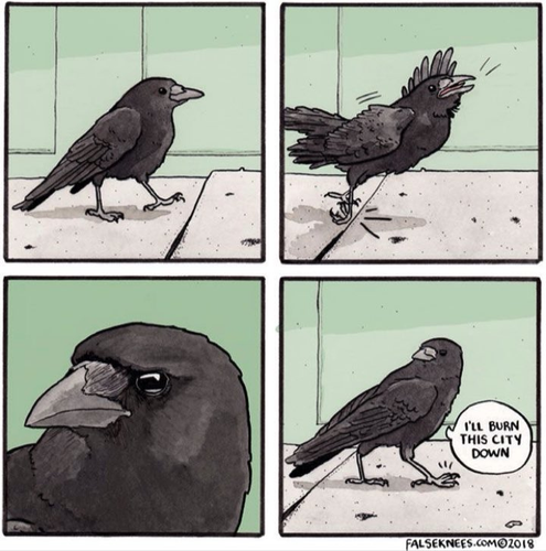 crow crack.png