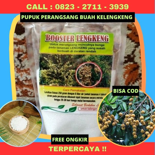 TERPERCAYA! CALL 0823-2711-3939 Produsen Pupuk Perangsang Buah Kelengkeng.jpg