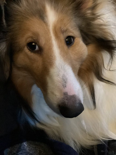 hazel.jpg