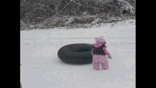 dog belly snow 1.gif