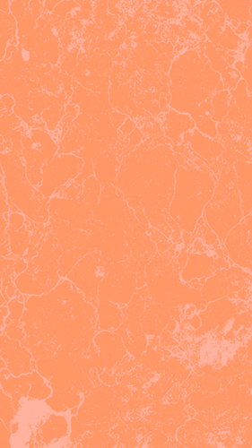 body.png