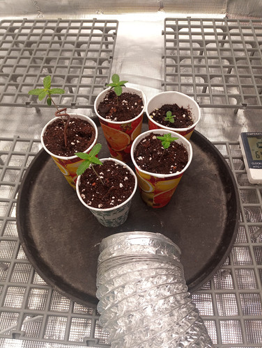 IMG 20230310 022632 564.jpg