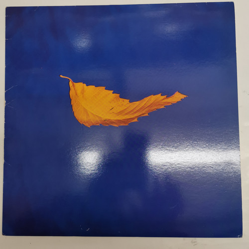 IMG 20230311 123842.jpg