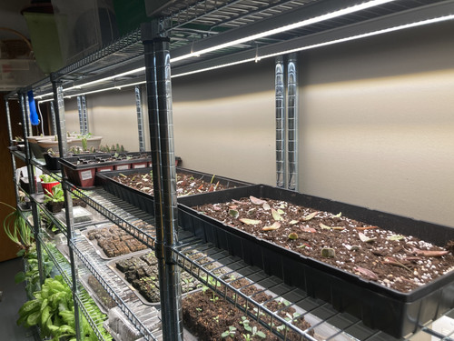 6DAD521E 181F 45FC 8F39 7C0038EDE2C7