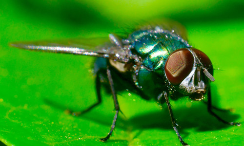 2018 05 08 00.55.20 2.jpg