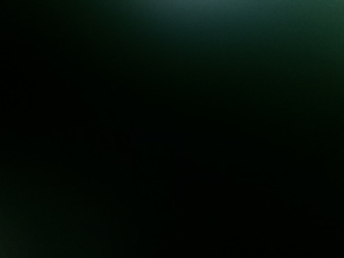 5E026D08 C517 4CF0 A725 0165EE12655C.jpg