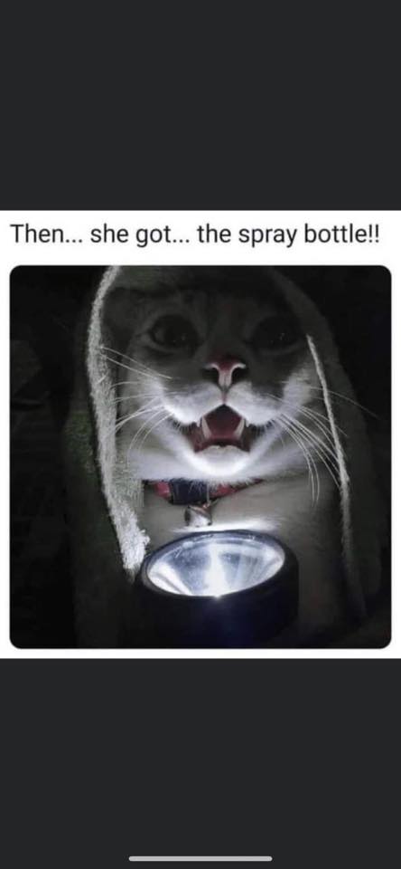 capture.jpg