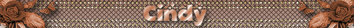 marrom cindy.png