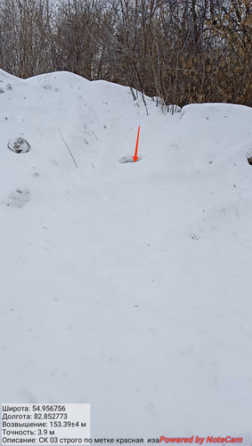 IMG 20230309 151356.jpg