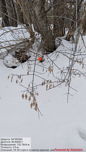 IMG 20230309 151650.jpg