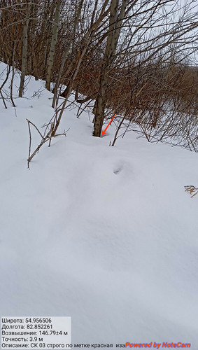 IMG 20230309 151511.jpg