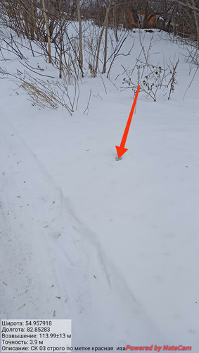 IMG 20230309 153332.jpg