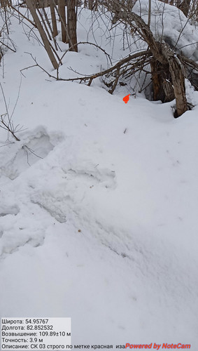 IMG 20230309 151544.jpg